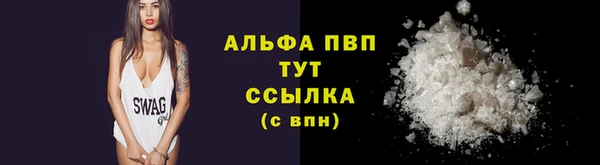 дживик Коряжма