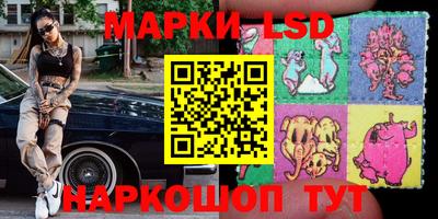 эйфоретик Берёзовский