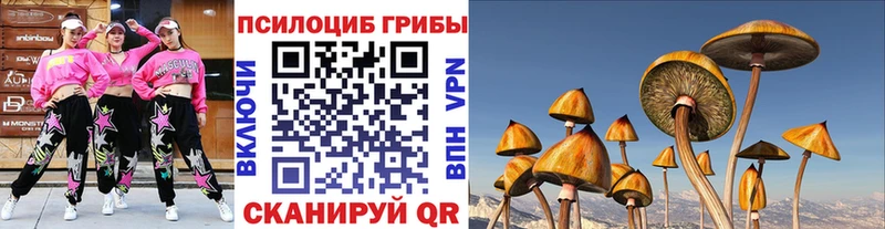 где продают наркотики  Дербент  Галлюциногенные грибы Magic Shrooms 