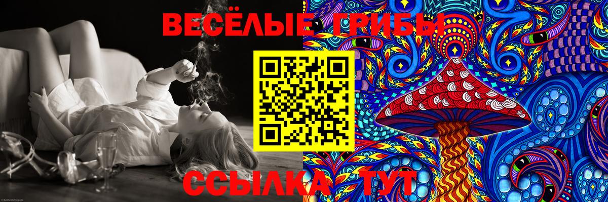 Дербент  Псилоцибиновые грибы Cubensis  Вход с VPN 