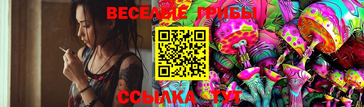 Галлюциногенные грибы Psilocybine cubensis Дербент