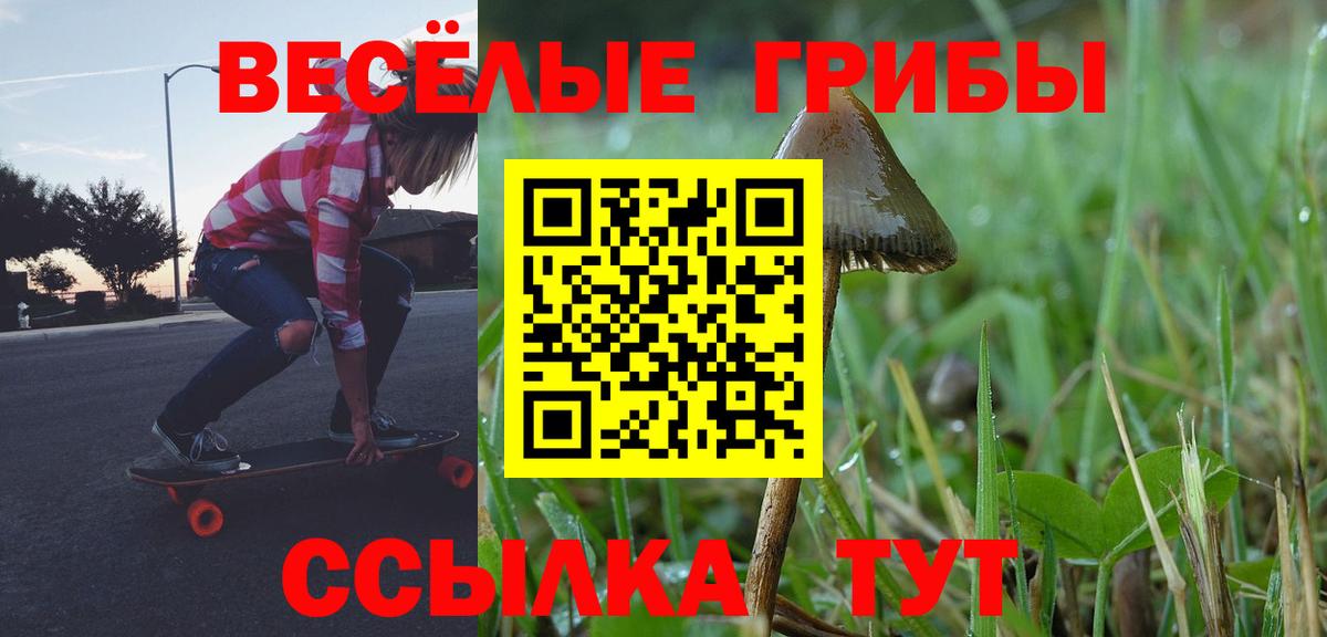 Галлюциногенные грибы мухоморы Дербент